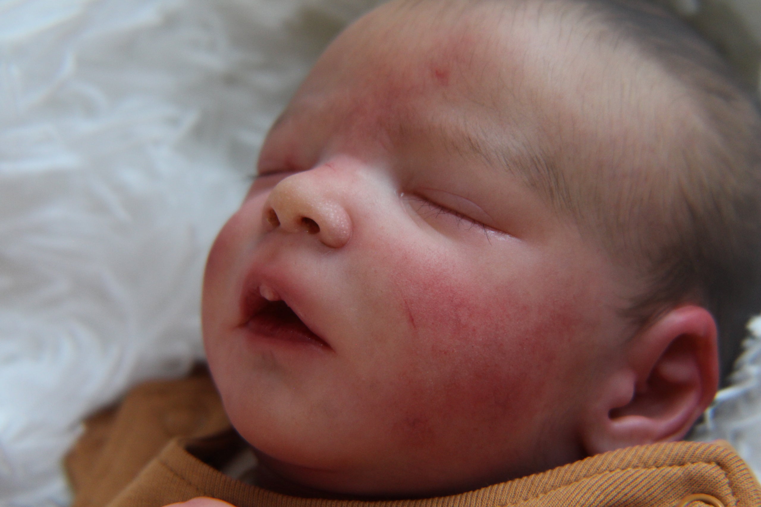 Realborn johanna discount